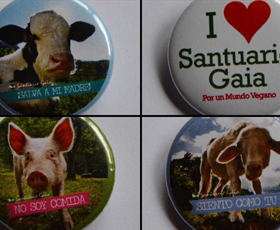 Chapas
