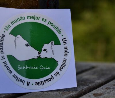 pegatina
