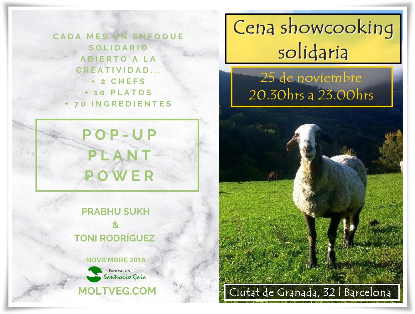 cena showcooking MoltVeg