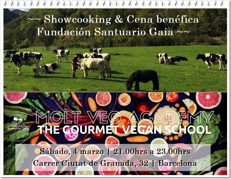 Evento cena solidaria molt veg