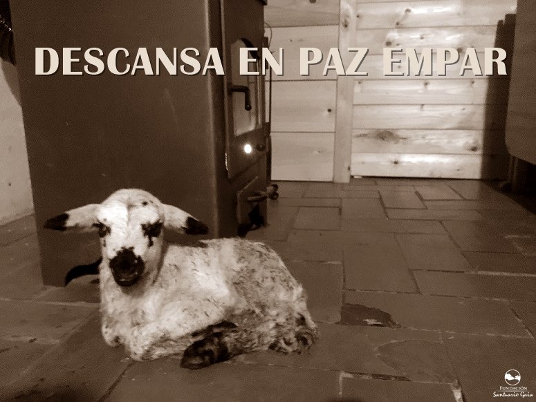 dep empar