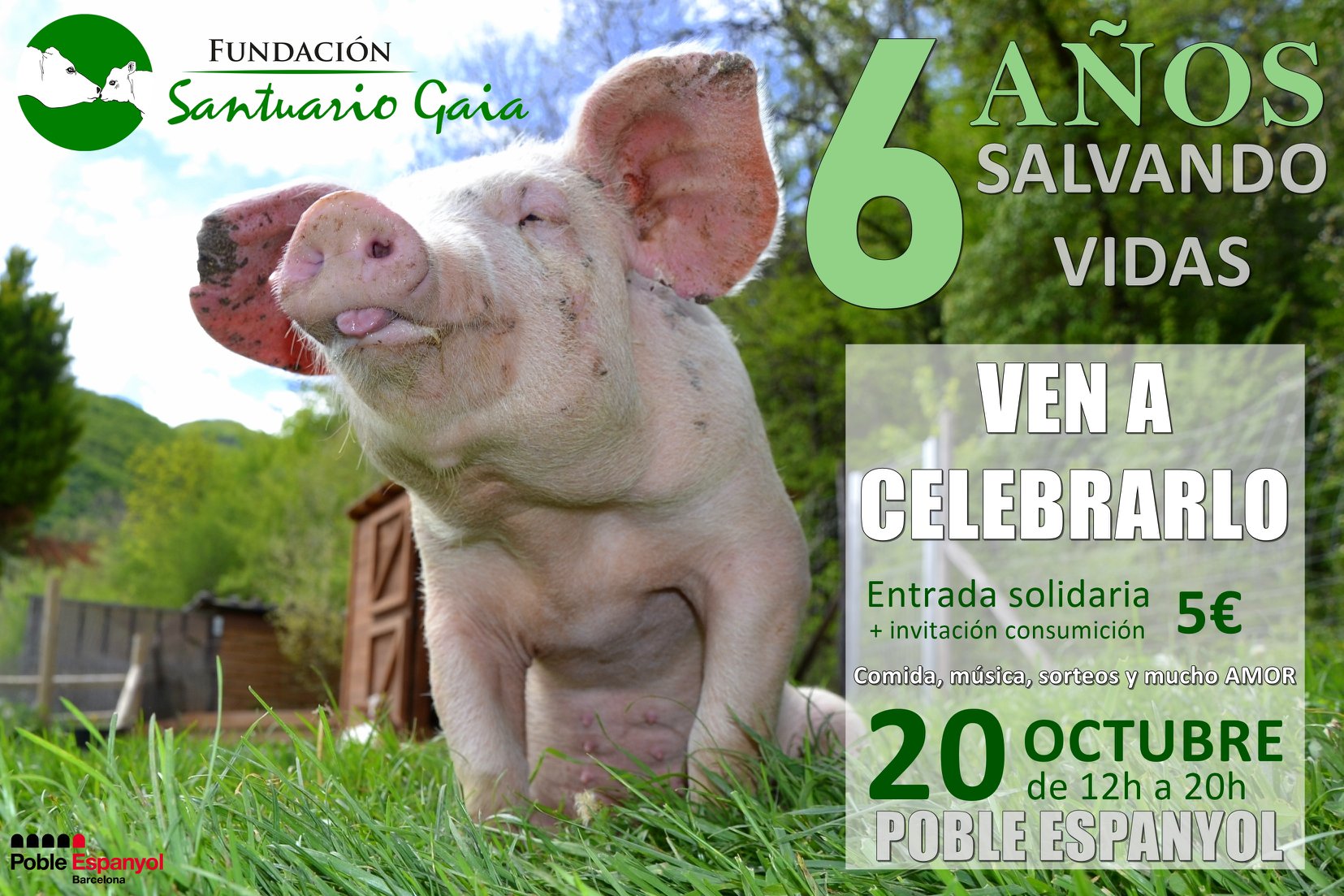 aniversario 6