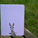 libreta Shalom