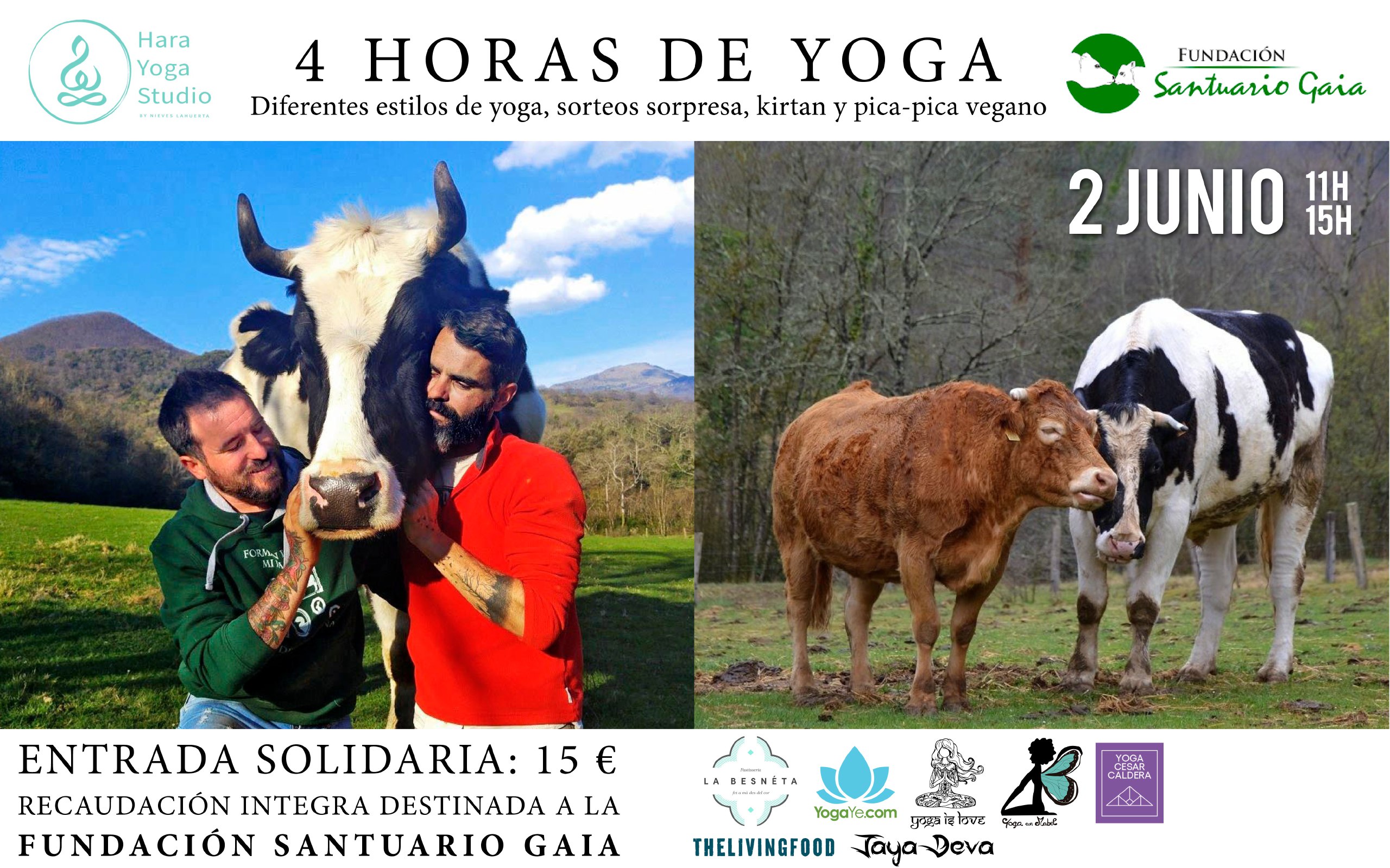 Yoga junio 2019