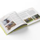 Mockups Design