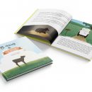 Mockups Design