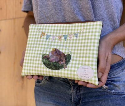 CARTERA DE MANO