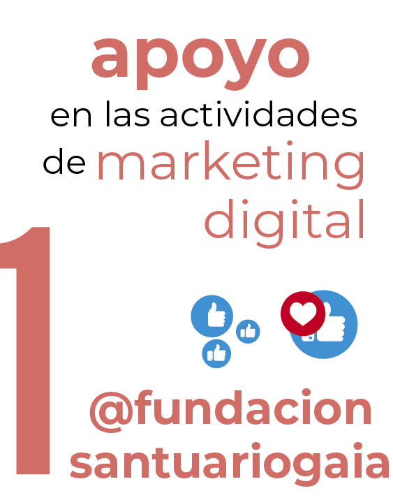 ilustracion_funcion_1