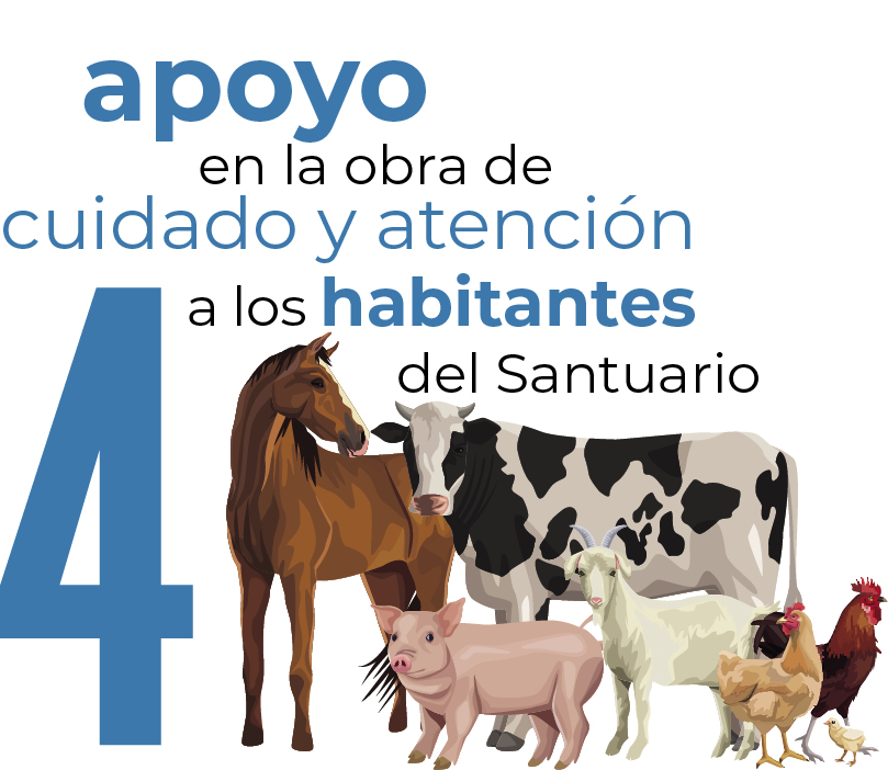 ilustracion_funcion_4