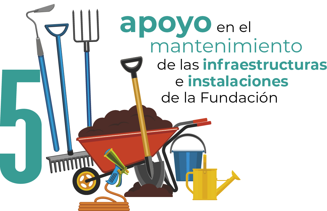 ilustracion_funcion_5