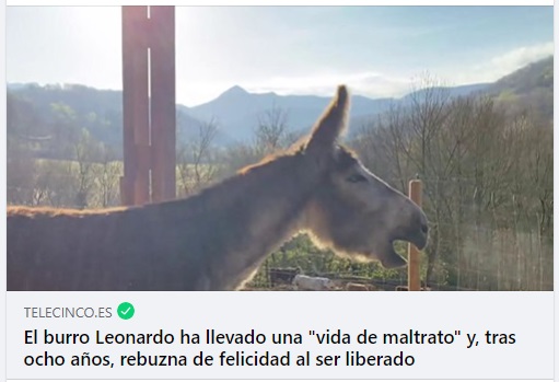 Leonardo_telecinco