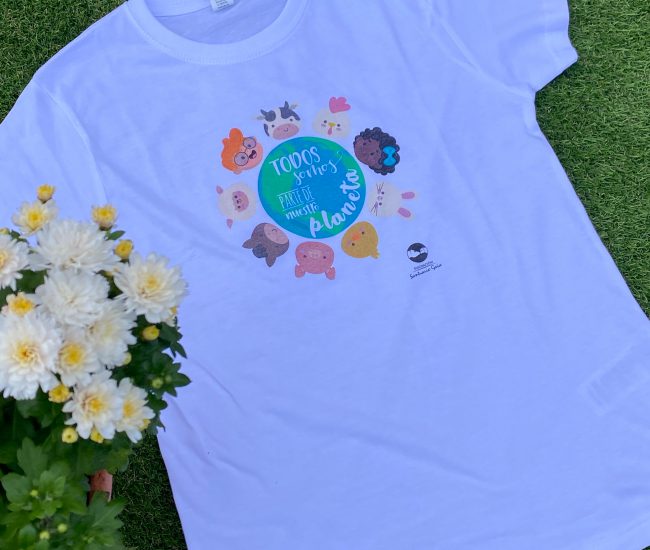 CAMISETA NIÑO TODOS 1