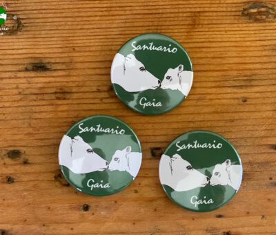 CHAPAS