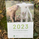 CALENDARIO 1