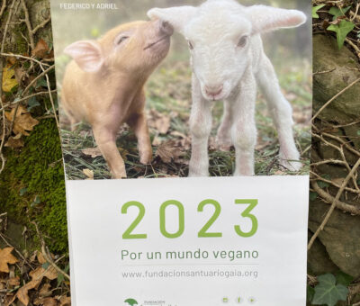 CALENDARIO 1