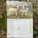 CALENDARIO 3
